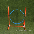 Pet Dogs Outdoor Games Agility Exercice Training